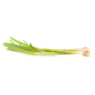 Cibule lahůdková BIO (sv.) /CZ/