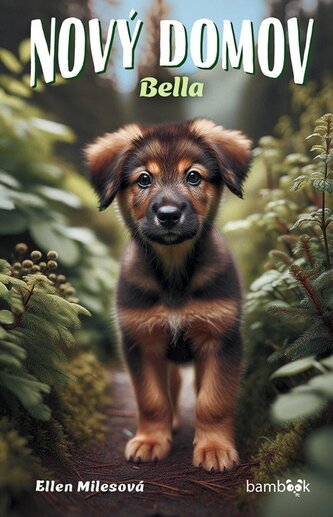 Nový domov Bella Nový domov Bella