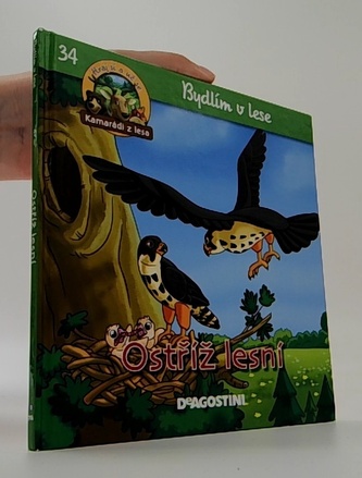 Bydlím v lese 34: Ostříž lesní