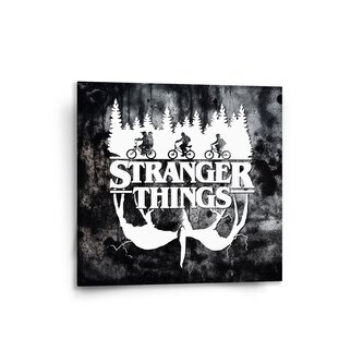Obraz Stranger Things White: 50x50 cm