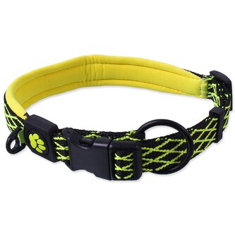 Obojek Active Dog Mystic S limetka 1,5x39-44cm