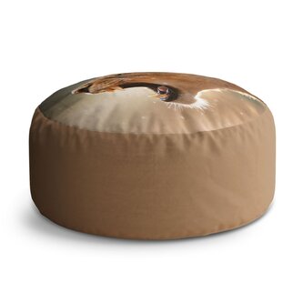 Taburet Circle Rozzuřená lvice: 38x48 cm