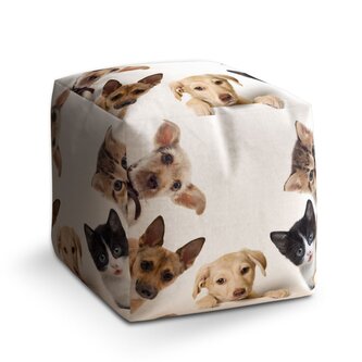 Taburet Cube Štěňátka a koťátka: 40x40x40 cm