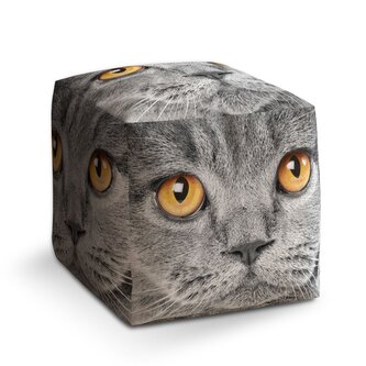 Taburet Cube Kočičí pohled: 40x40x40 cm Taburet Cube Kočičí pohled: 40x40x40 cm