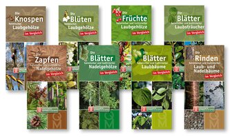Bestimmungskarten-Set "Bäume und Sträucher"