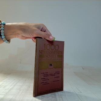 1000 nejkrásnějších novel 1000 světových spisovatelů - svazek 28