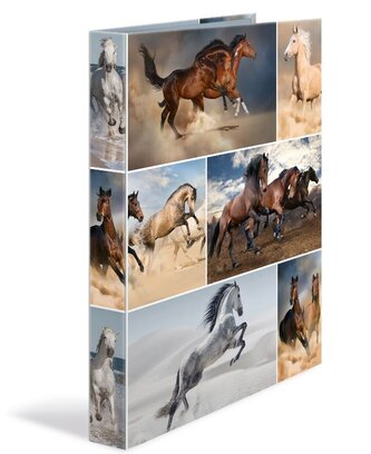 HERMA Pořadač kroužkový A4 3,5cm Koně