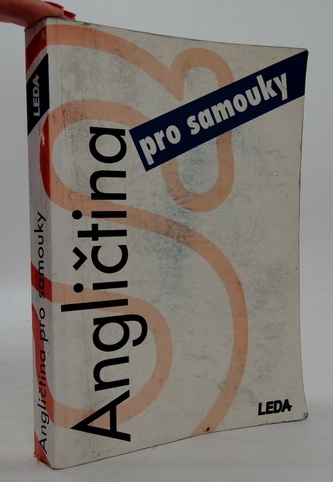 Angličtina pro samouky (BEZ KLÍČE)