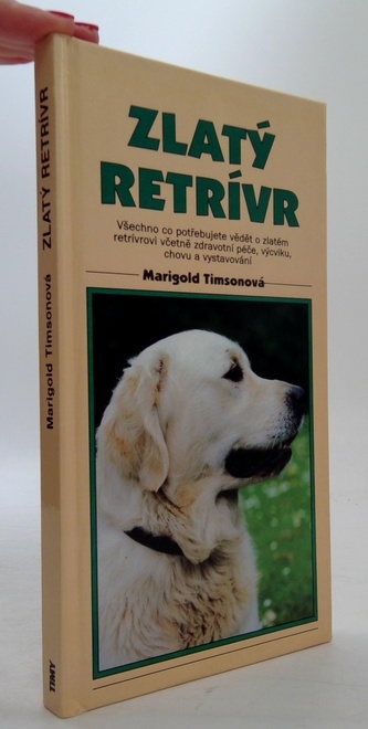 Zlatý retrívr
