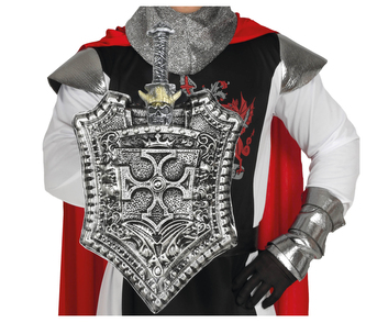 Štít 44 cm s mečem 58 cm