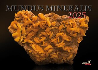 MUNDUS MINERALIS 2025