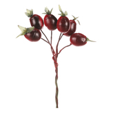 Šípek na drátku, cena za box (60 ks).