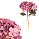 Hortenzie, kytice, 5 květů - barva fialová.