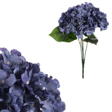 Hortenzie, kytice, 5 květů - barva tmavě modrá.