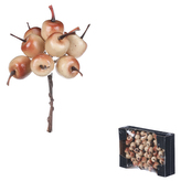 Jablka na drátku, barva béžová, cena za krabičku (72 ks).