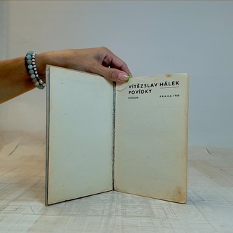 Povídky