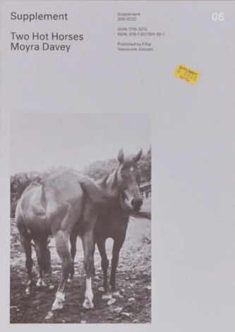 Supplement 6: Two Hot Horses