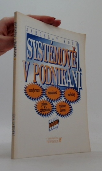 Systémově v podnikání