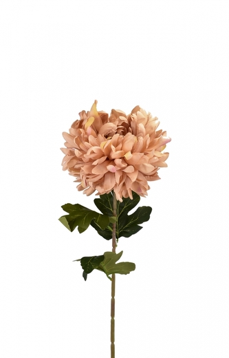 Chryzantéma starorůžová 74 cm