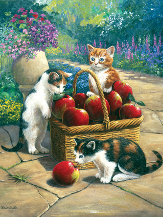 Malování podle čísel 22x30cm - Kočky