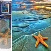 Diamantové malování- Hvězdice na pláži 30x40 cm