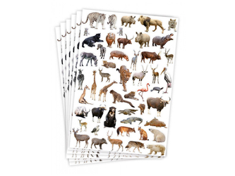 Samolepky- zoo, 300 ks