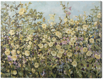 Obraz na plátně Anne-Marie Butlin - Yellow Hollyhocks, 2 - 80×60 cm