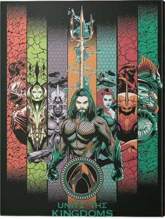 Obraz na plátně Aquaman - Unite the Kingdoms, 2 - 60×80 cm