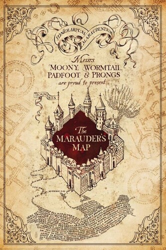 Plakát, Obraz - Harry Potter - Marauders Map, 80 × 120 cm