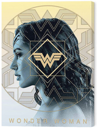 Obraz na plátně Wonder Woman 1984 - Amazonian Pride, 2 - 30×40 cm
