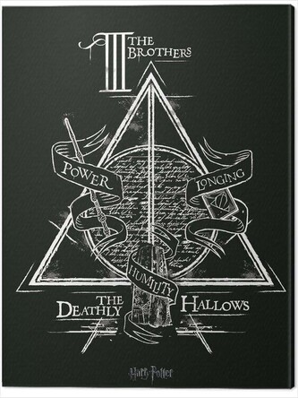 Obraz na plátně Harry Potter - Deathly Hallows, 2 - 60×80 cm