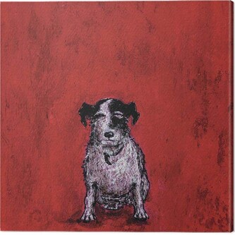 Obraz na plátně Sam Toft - Small Dog, 2 - 40×40 cm