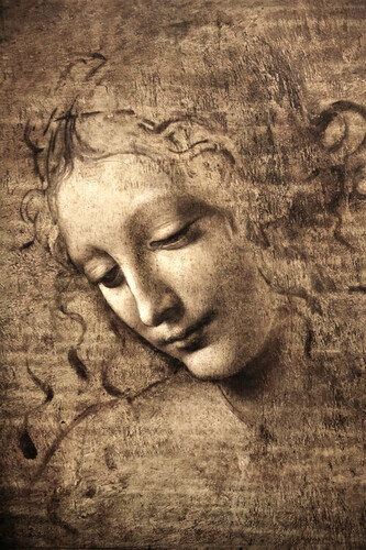 Obrazová reprodukce Leonardo da Vinci - Hlava ženy, 26.7 × 40 cm