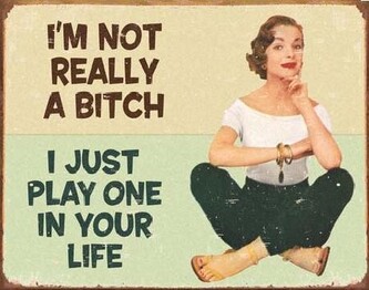 Plechová cedule EPHEMERA - Not a Bitch, 40 × 31.5 cm