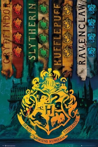 Plakát, Obraz - Harry Potter - Bradavické koleje, 61 × 91.5 cm