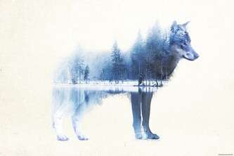 Plakát, Obraz - Forest Wolf, 91.5 × 61 cm