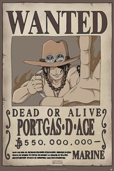Plakát, Obraz - One Piece - Wanted Ace, 61 × 91.5 cm