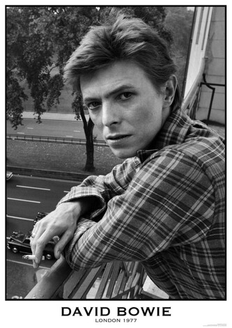 Plakát, Obraz - David Bowie - London 1977, 59.4 × 84.1 cm
