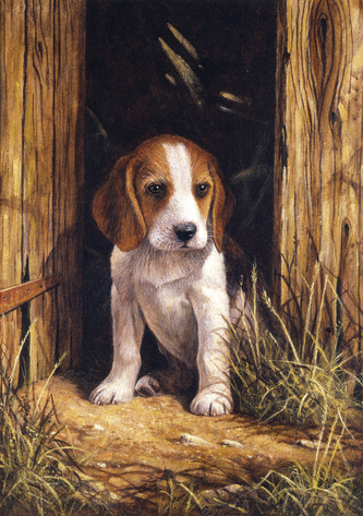 Malování podle čísel 22x30 cm - Bígl