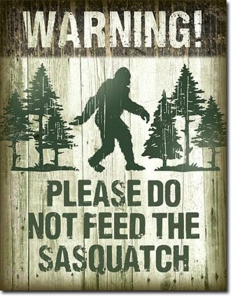 Plechová cedule Sasquatch - Dont Feed, 30 × 42 cm