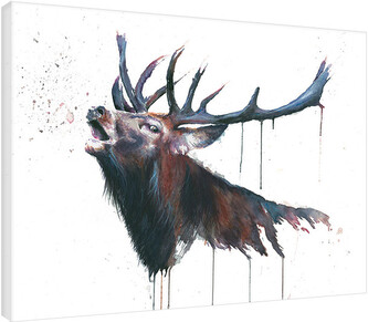 Obraz na plátně Sarah Stokes - Roar, 2 - 80×60 cm