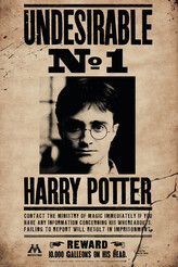 Plakát, Obraz - Harry Potter - Undersirable No.1, 61 × 91.5 cm