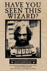 Plakát, Obraz - Harry Potter - Wanted Sirius Black, 80 × 120 cm