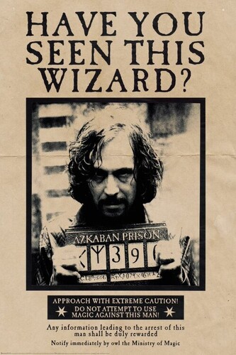 Plakát, Obraz - Harry Potter - Wanted Sirius Black, 80 × 120 cm