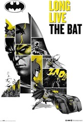 Plakát, Obraz - Batman - 80th Anniversary, 61 × 91.5 cm