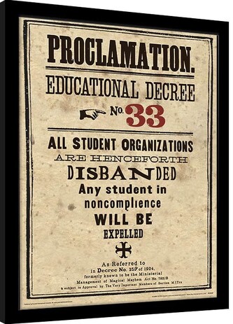 Obraz na zeď - Harry Potter - Educational Decree No. 33, 30 × 40 cm