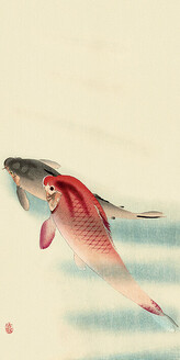Obraz na plátně Ohara Koson - Two Carp, 2 - 30×60 cm