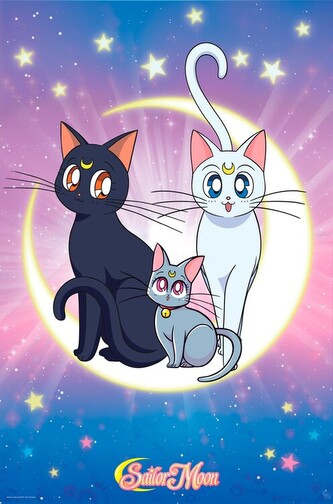 Plakát, Obraz - Sailor Moon - Luna, Artemis & Diana, 61 × 91.5 cm