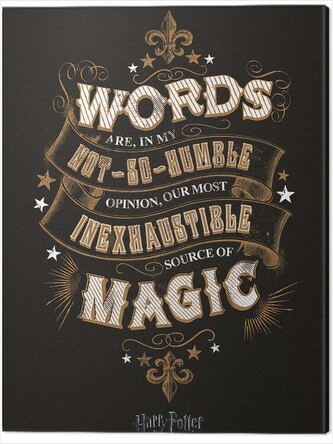Obraz na plátně Harry Potter - Words, 2 - 60×80 cm
