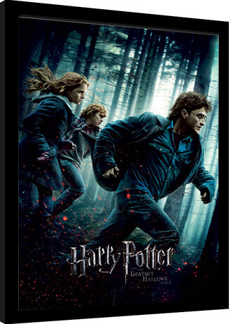 Obraz na zeď - Harry Potter - Deathly Hallows Part 1, 30 × 40 cm